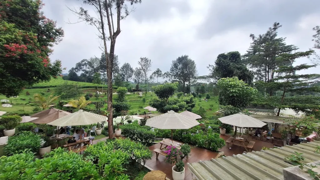 Kopi Ranu Puncak
