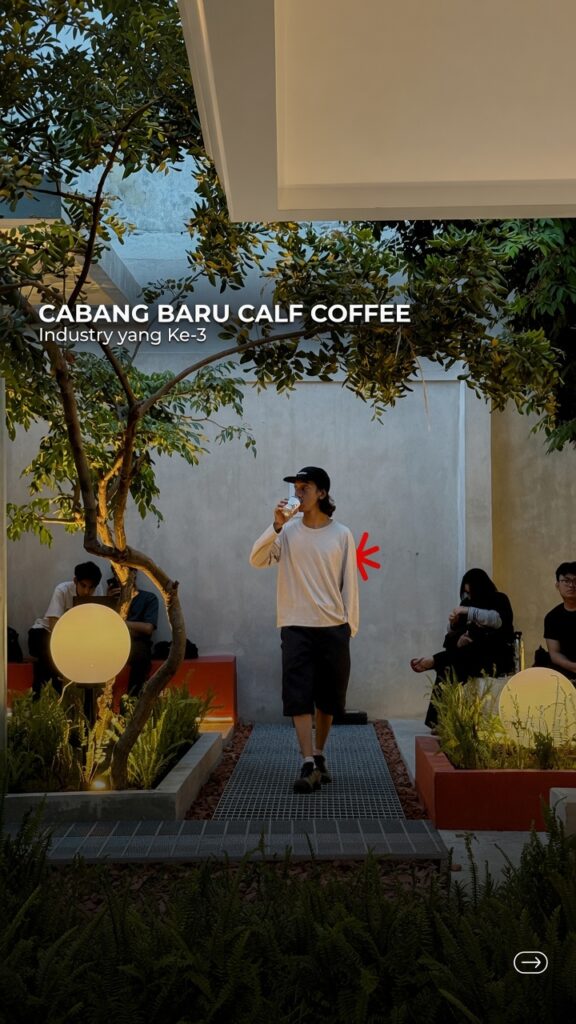 Kopi Calf Cempaka Putih
